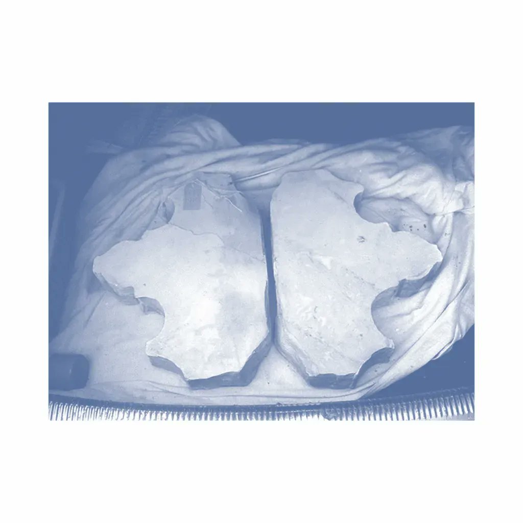 Corridor8 tweet media