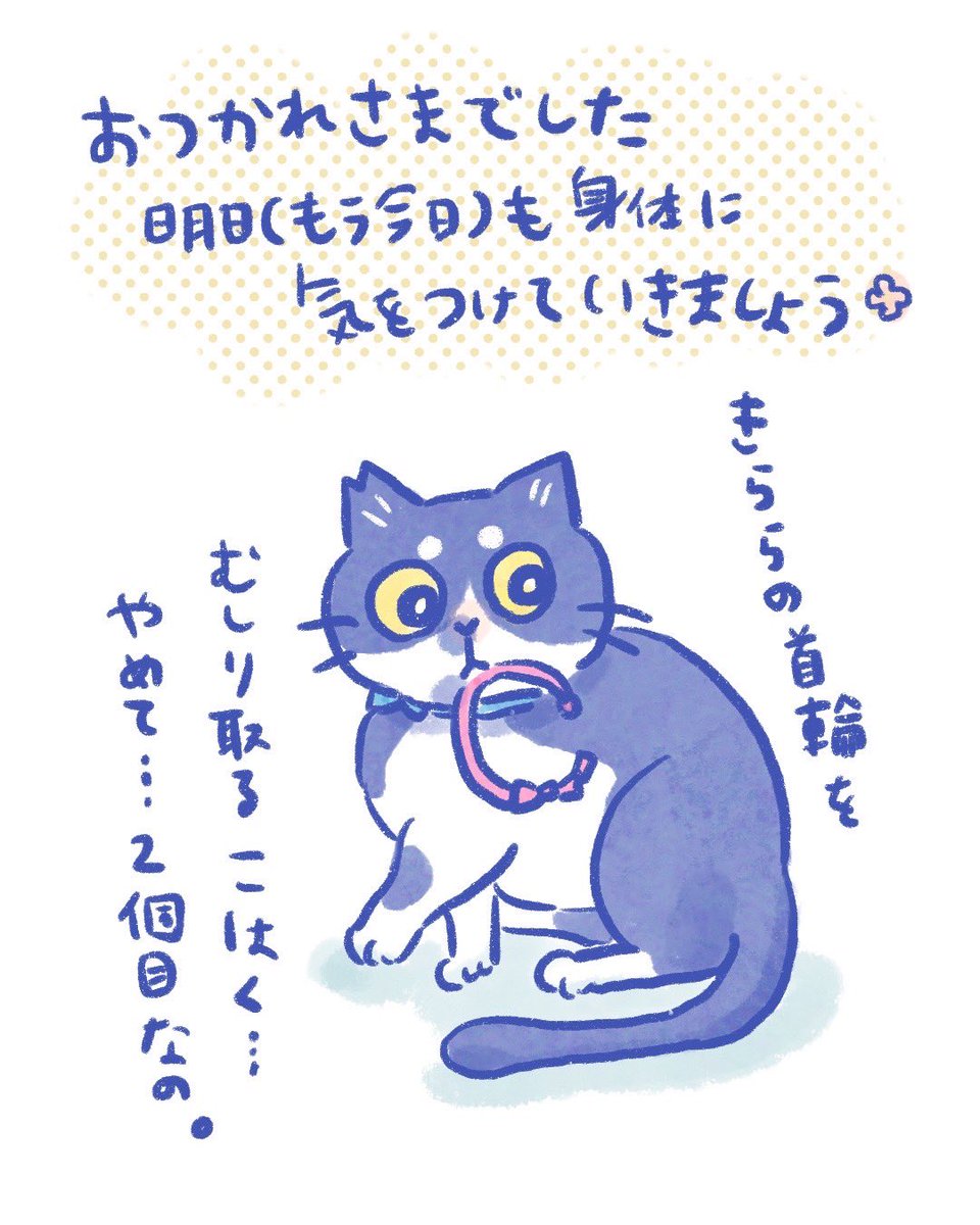 気付いたらソファーで寝てる季節がやってきた。ちょっと作業したら寝ます。
明日(だからもう今日)もお仕事やら忙しい皆さん!暑いので無理のないよう〜😌
おやすみなさい✨ 