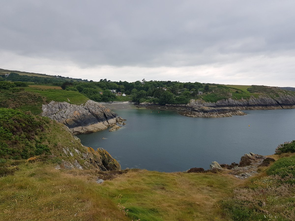 kendie's tweet photo. Today we also went to Point Lynas my happy place. Lots of sightings of porpoises. Also a group of at least 7 choughs. #PointLynasLighthouse #Anglesey #PointLynas https://t.co/RKbmjSG3F4