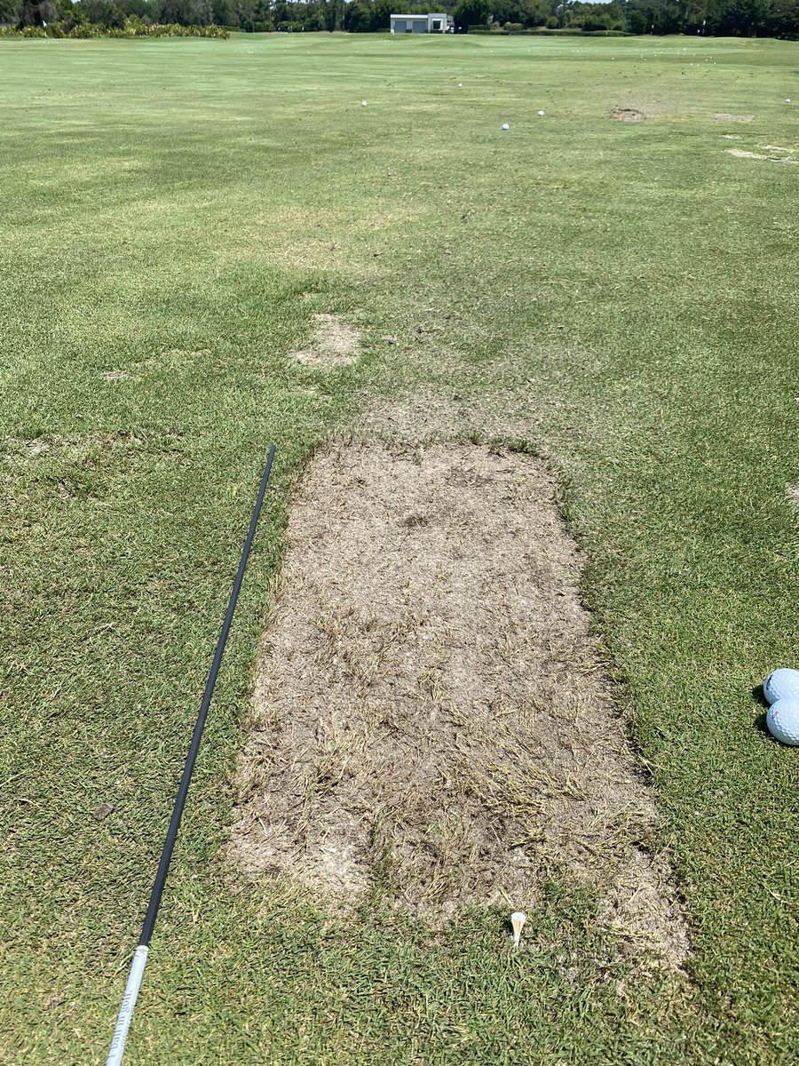 Byeong Hun An tweet media