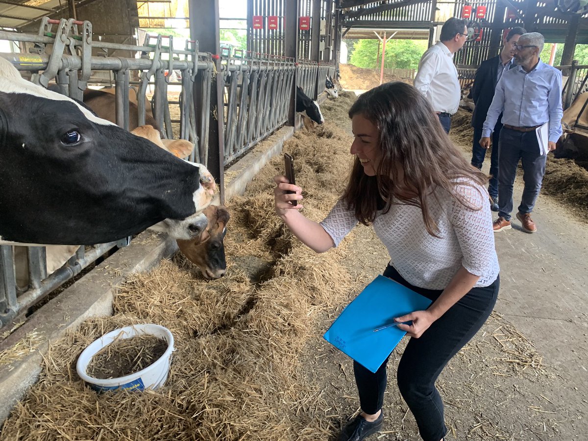 BenoitTirant's tweet photo. Avec les équipes techniques, de cuisine, et d’entretien de Poitiers-Venours à Rouillé, dégustation des glaces fabriquées avec le lait des vaches de l’exploitation du lycée. 
Visite du site par @al_rousset et les équipes de Nouvelle-Aquitaine pour envisager les travaux à venir. https://t.co/olX3FZSM6K