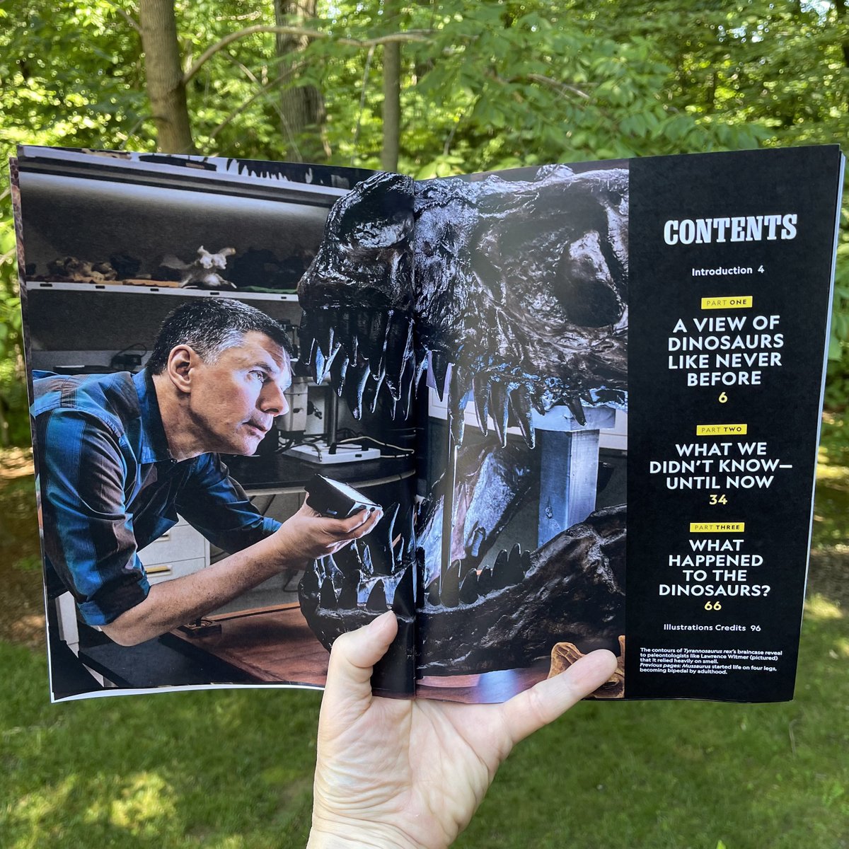 WitmerLab tweet media