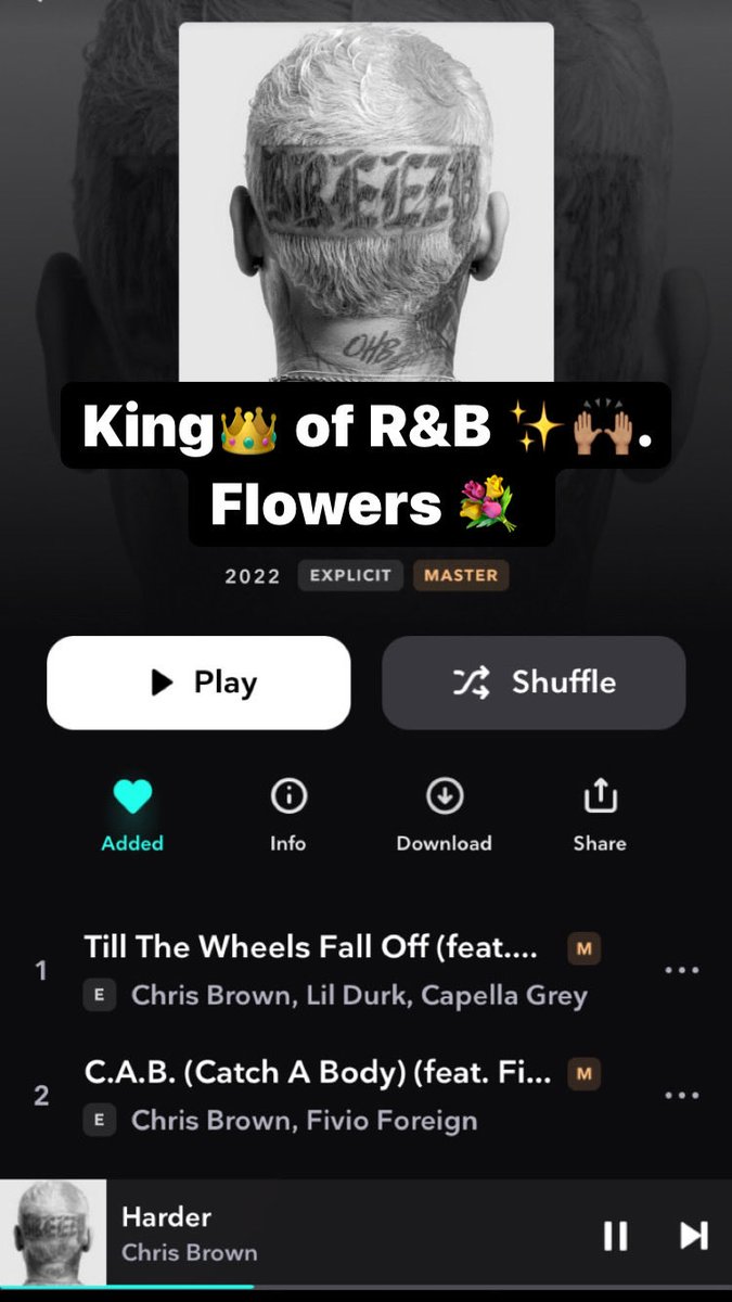 ChaunteMonique's tweet photo. ⁦@chrisbrown⁩ https://t.co/G451sh29YC