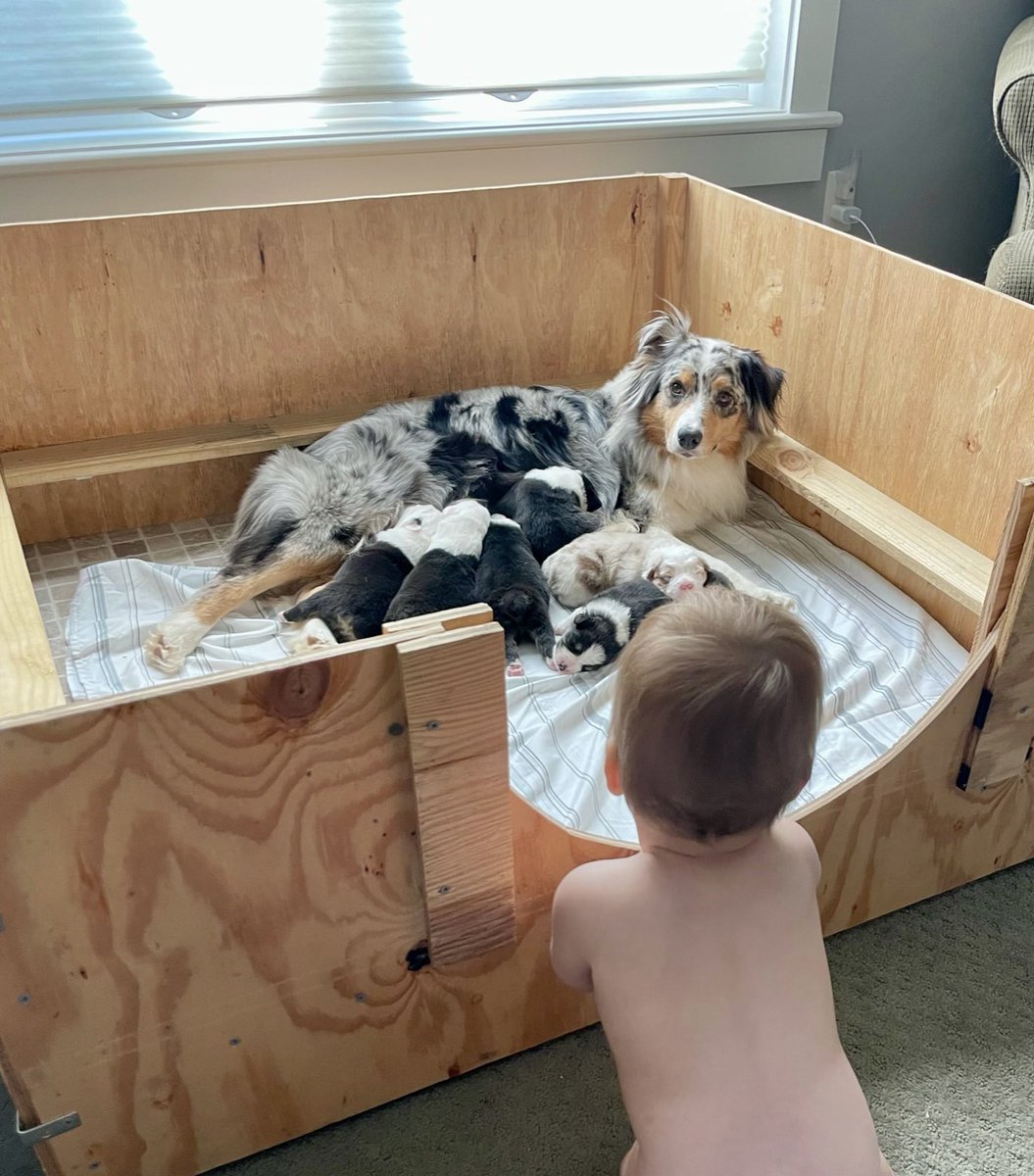 Mike Richardson tweet media