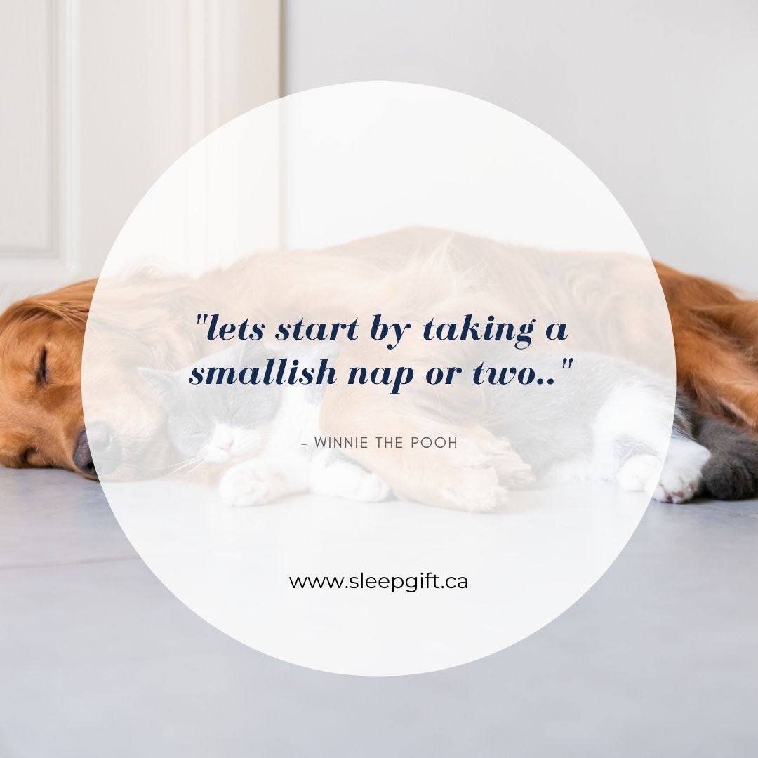 bbholistics's tweet photo. Sounds like a good plan 👌

#sleepquotes #sleepblog https://t.co/sX6M0tb2KR