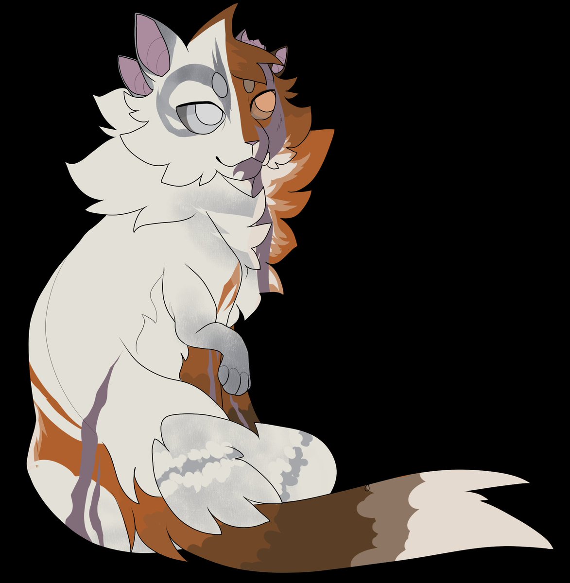 Skyia9's tweet photo. @Neytiirix Foxfrost! A chimera kitty with 2 sets of ears, 2 tails, an extra leg, and lots of health problems. https://t.co/hdhtQiVDus
