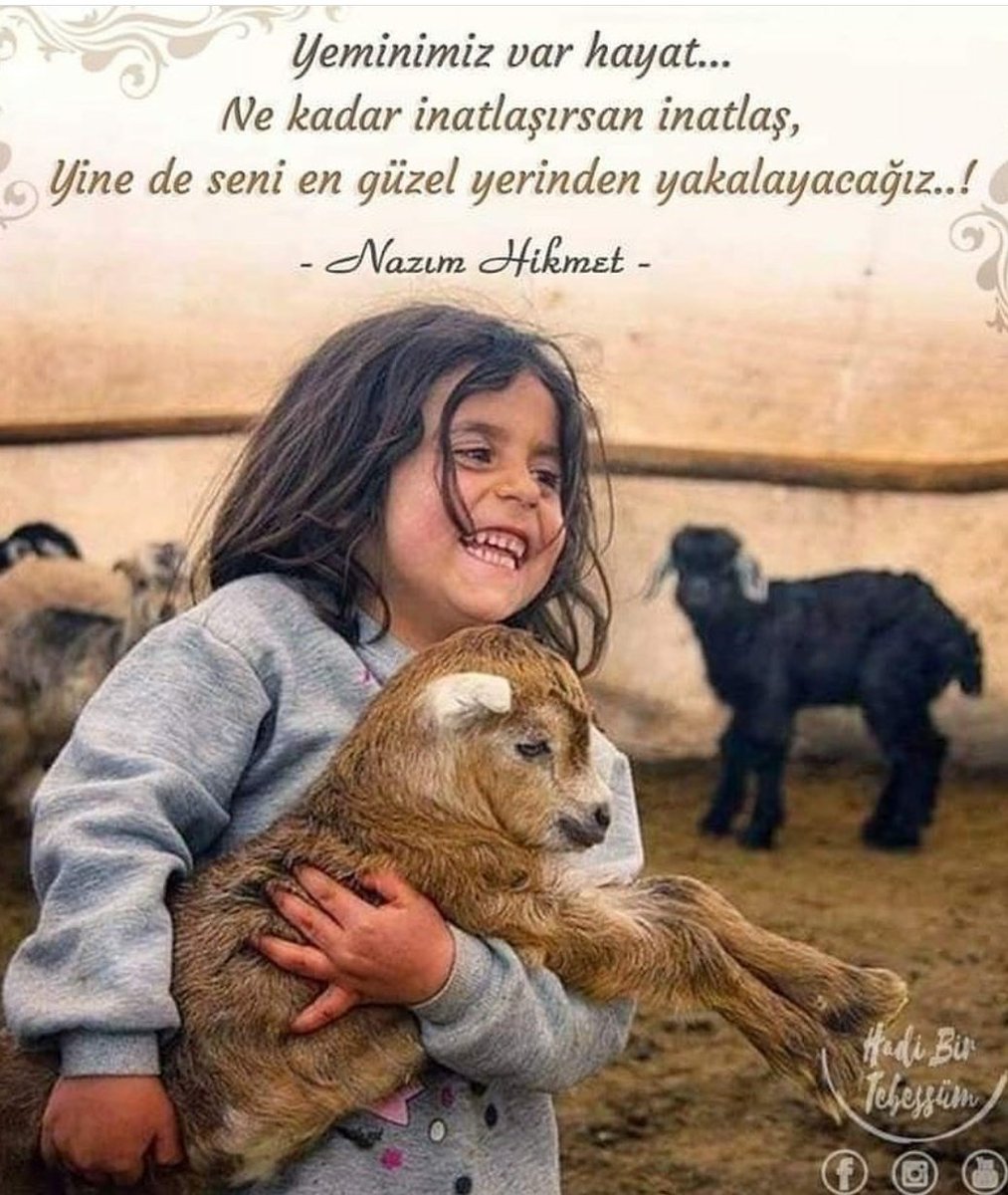 Gülay Gültekin (@glaygltekin13) on Twitter photo 