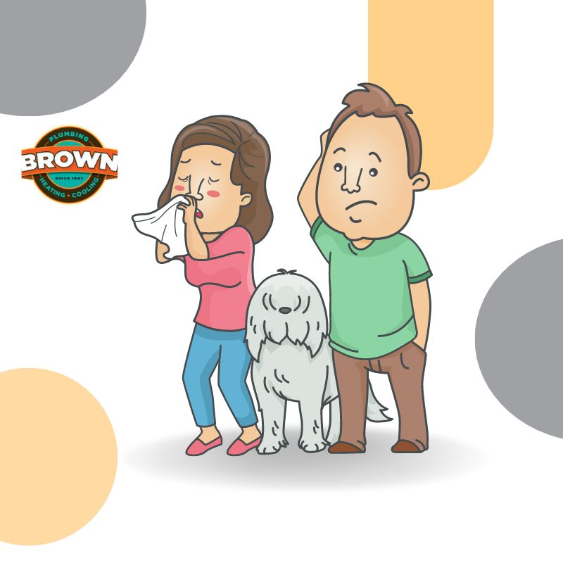 Pet odor can become trapped in your air filter, which spreads through your home. This week, we talk with Heather Zabicki of Brown Heating & Cooling, about the importance of clean air ducts and maintaining our HVAC systems.

#ThePetBuzz #petowner #dogparent #airquality #petdander