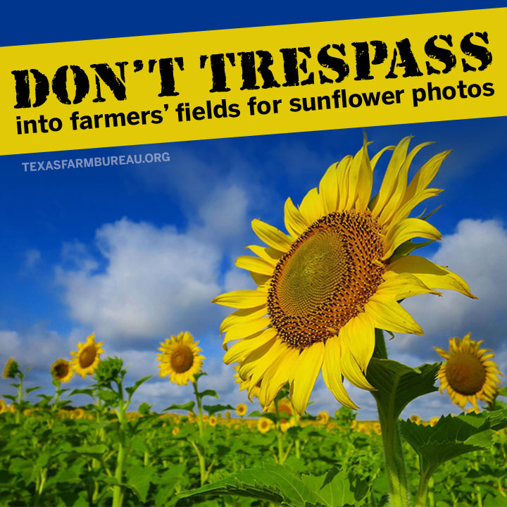 Texas Farm Bureau tweet media