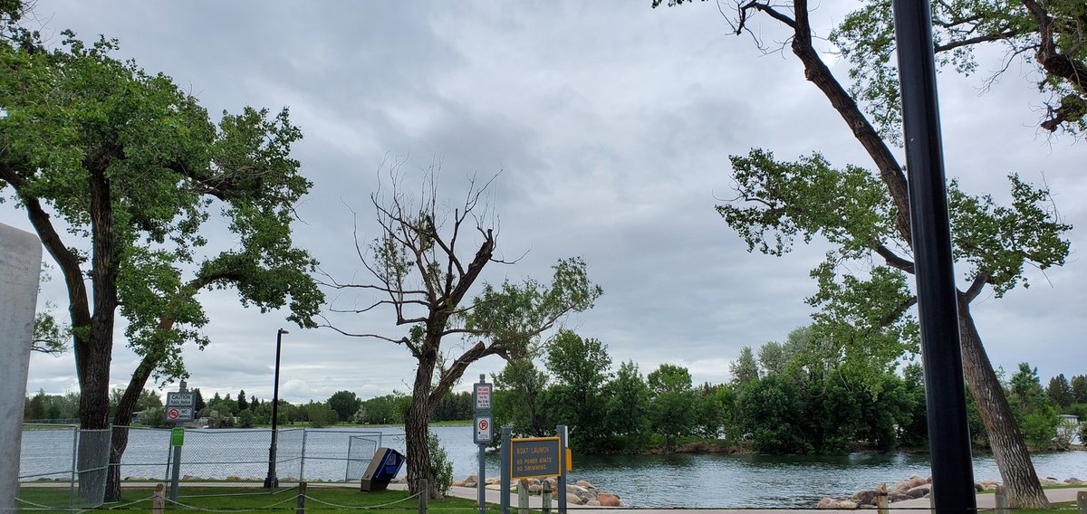 ATB Financial Leth Rotary Dragon Boat Festival tweet media