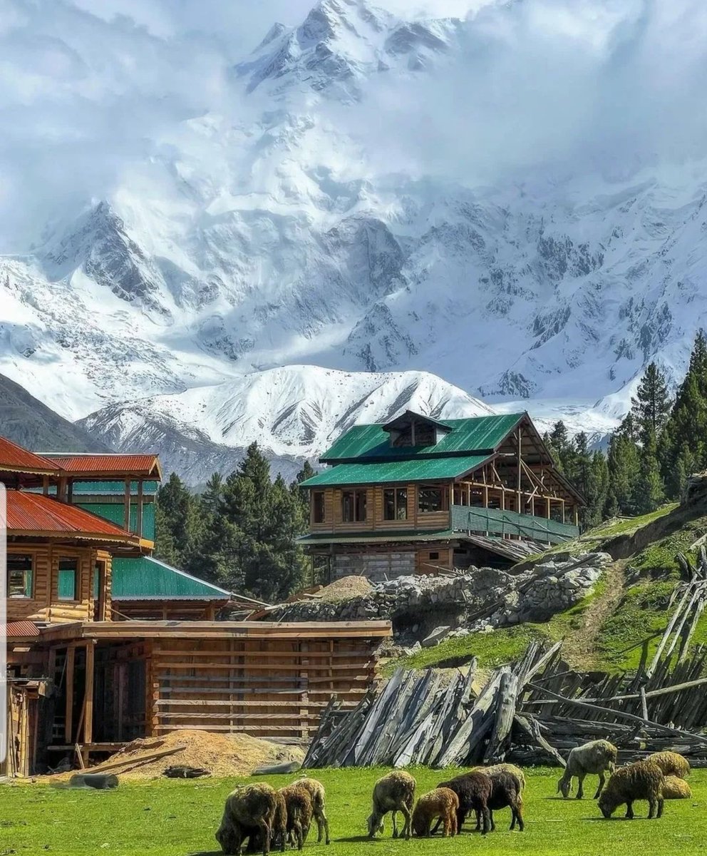GBTourism_'s tweet photo. Mejistic View of Naga Parbat 🏔
Gilgit Baltistan https://t.co/PnZWjUgIgV