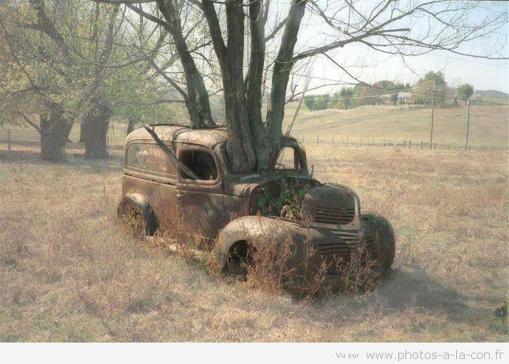 Jai_PasCompris's tweet image. Drame sur le tournage du film "Les Gardiens de la galaxie": un véhicule victime d'une sortie d'Groot.