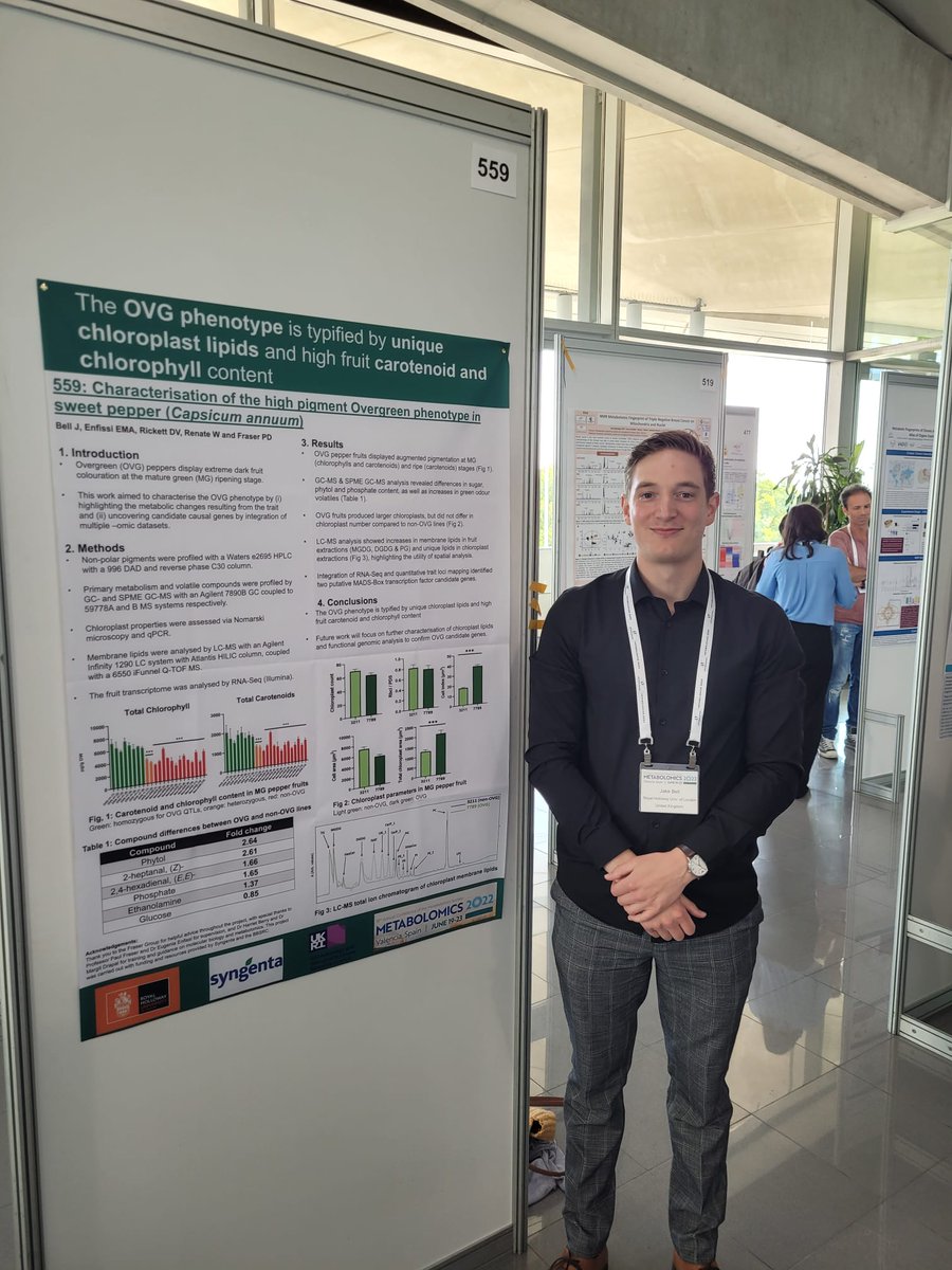 Jake Bell tweet media