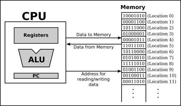 ❗️كيف تعمل وحدة المعالجة المركزية CPU ؟❗️

غالبا ما تتم مقارنة وحدة المعالجة المركزية للكمبيوتر، أو...