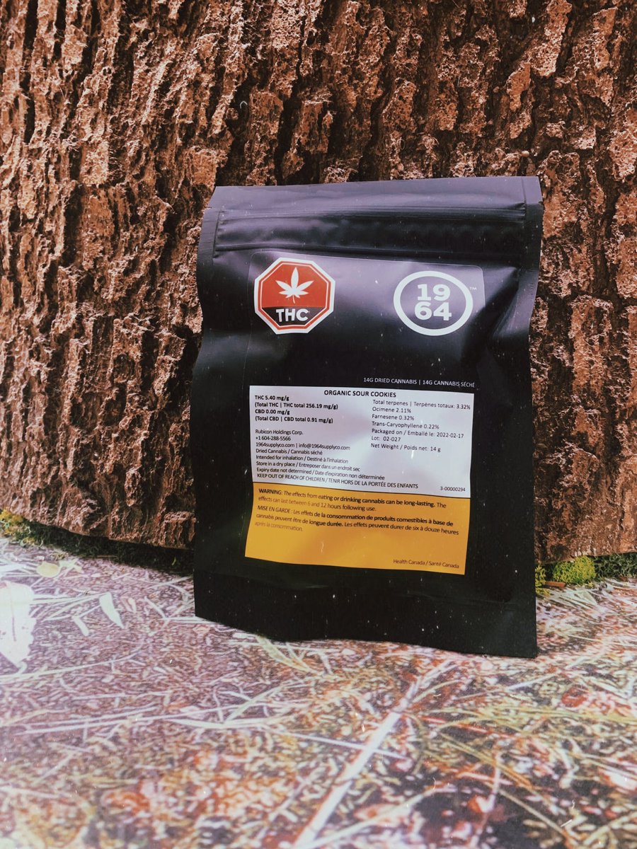 👌 Mike loved the 14 gram option of Organic Sour Cookies by <a href="/1964supplyco/">1964 Supply Co</a>

Amazing quality Organic flower at value prices 👌🤘

1845 Main West
✌️ &amp; 💚

#hamont #cannabisculture #organiccannabis #thc #halfoz