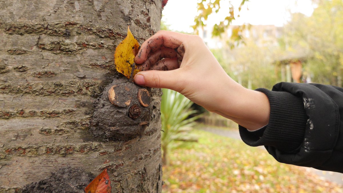 NatThink's tweet photo. #InternationalMudDay is on Wednesday 29th June.  
It's time to start planning your #outdoorlearning to include some muddy fun!

How will you celebrate? Have a mud &amp; spoon race, make a mud face, play in the mud kitchen - the list is endless! Tweet @NatThink and share your ideas. https://t.co/ONFtdPWEnC