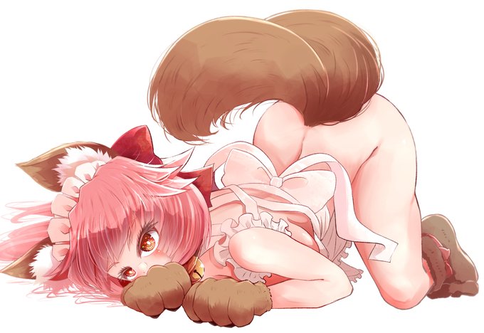 タマモキャット
#FGO 