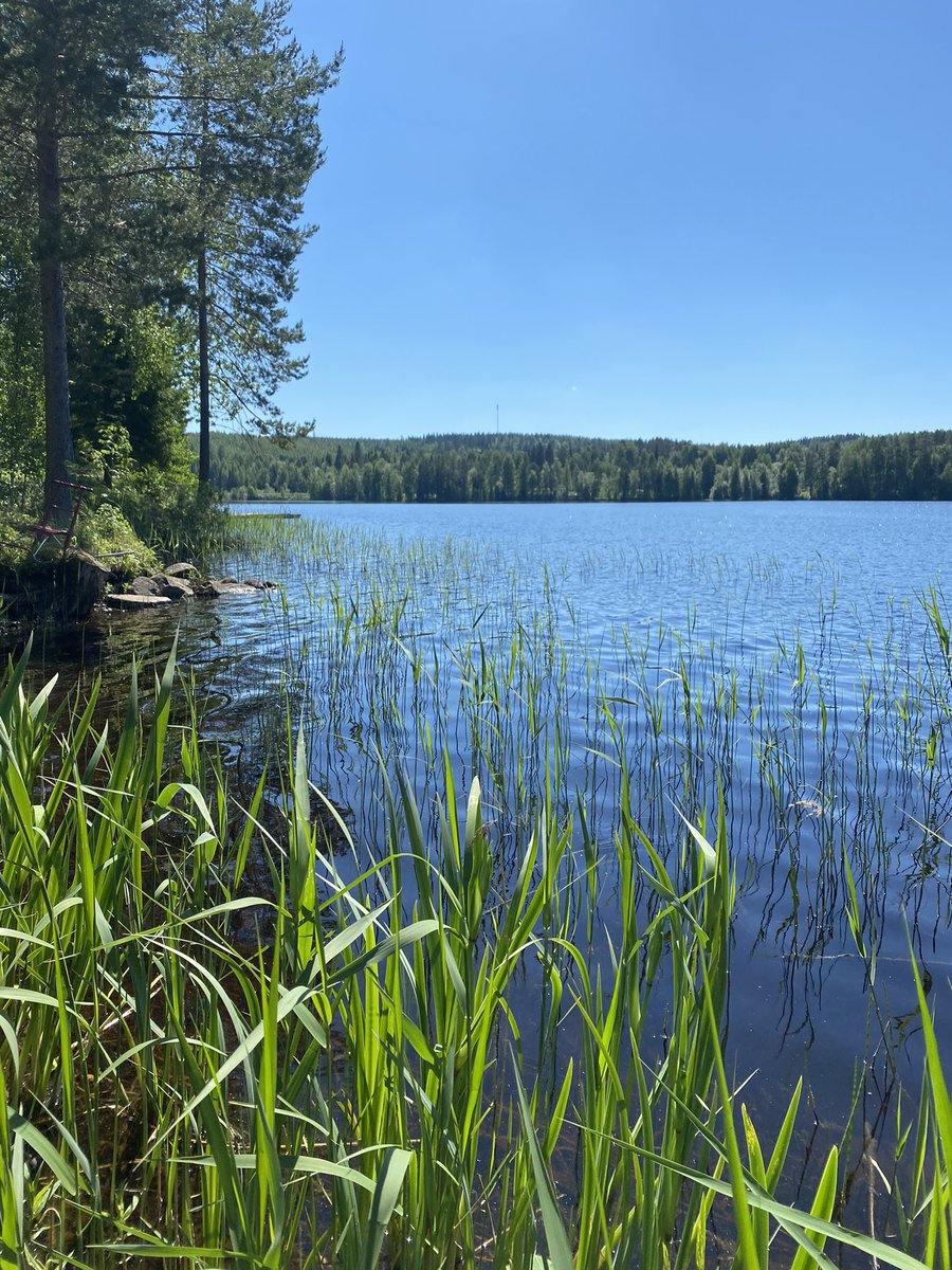 Ihanaa juhannusta Twitter-väki 🍀☀️🍓

#MIDSOMMAR #keskisuomi