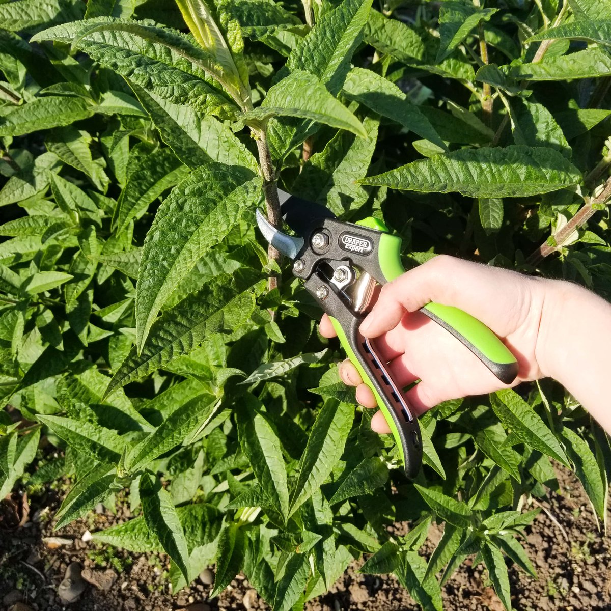 houseko_uk's tweet photo. Our Garden Tool Promotion is almost over! 🪴

Get 20% off all hand tools online at Houseko now, before it's over!

#houseko #gardentools #gardeningtips #smallgardenideas #gardenrenovation #gardeninspo https://t.co/SjUQy0FBrS