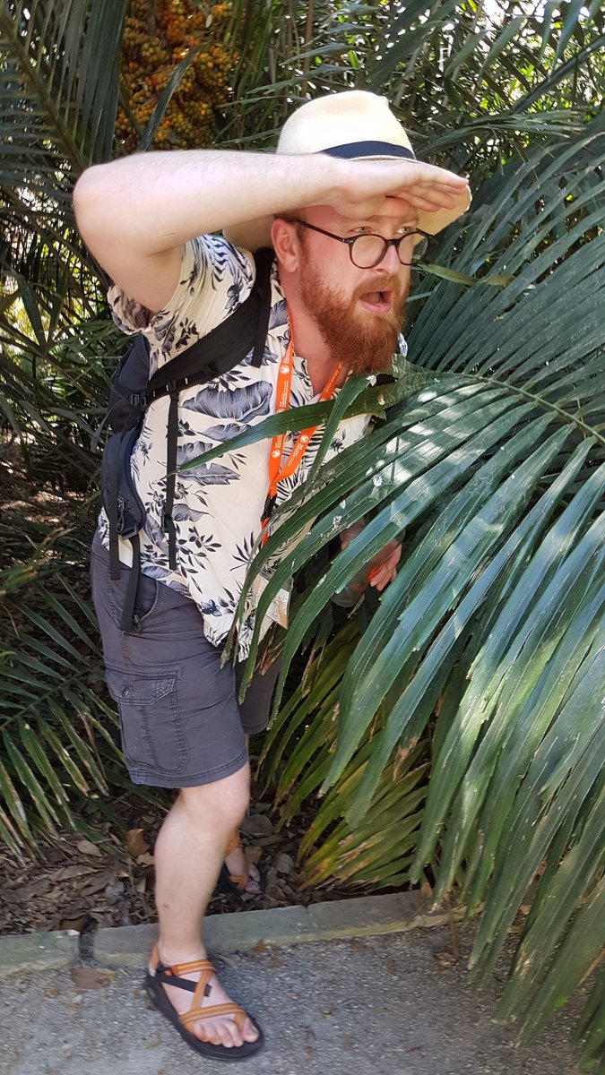 Safari time with <a href="/Euphanerops/">Richard Dearden</a> <a href="/ISELV_Valencia/">16th ISELV</a>