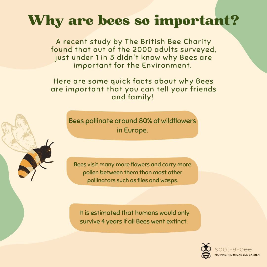 Do you know why bees are so important to the environment? #ispotabee #savethebees #bees #spotabee #citizenscience