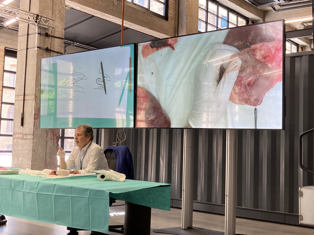 Anne Neubert tweet media