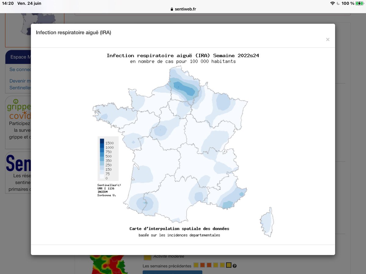Souris Mystique tweet media