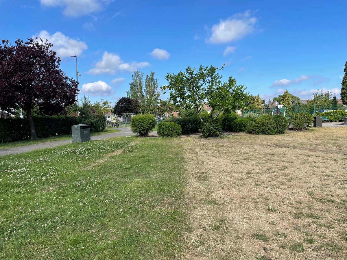 TootingChap's tweet photo. The difference between mowed and unmowed in the Rec and yet the @EnableParks mowers are going over the patch on the right today kicking up dust. Time for a change of policy? @wandbc @JudiG @FurzedownFOFR https://t.co/kIJlitWuYc