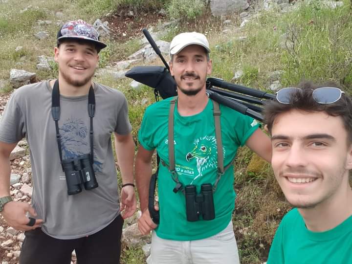 AOS_ALB's tweet photo. New territory of the #EgyptianVulture 🦅 found in 🇦🇱 by Conservation Youth Club #CYC and #AOSALB. This is what we call #youthconservation 

@NeophronReturns @BirdLifeEurope
@BirdLife_News @MirelaKumbaro https://t.co/T7URtUcTdo https://t.co/g1PCwRigpo