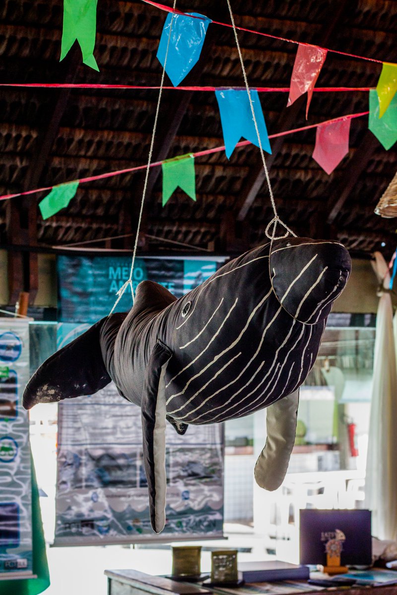 baleiasnaserra's tweet photo. O Jubão e a nossa equipe desejam a todos um feliz São João 🥜🌽🔥

📷 Thomas Foucart

Acesse https://t.co/9azd0wNW0d e conheça mais sobre o nosso trabalho.

#projetobaleiasnaserra #leac #uesc #pctsul #jubao #saojoao #festajunina #ilheus #serragrande #itacare https://t.co/X5Uv0xv6Ek