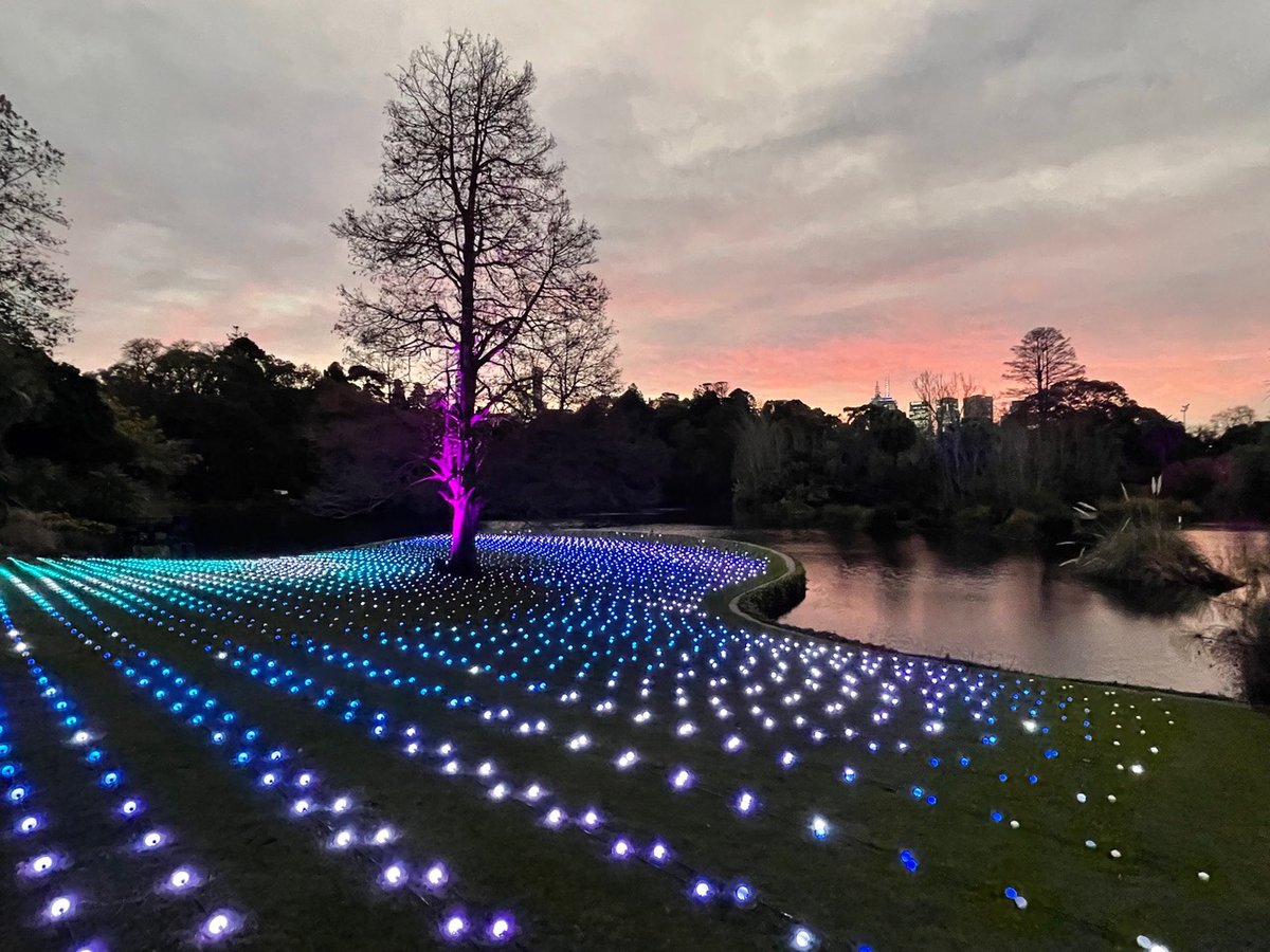 Serene sunset over the Ithaca Sea of Light at #lightscape Melbourne