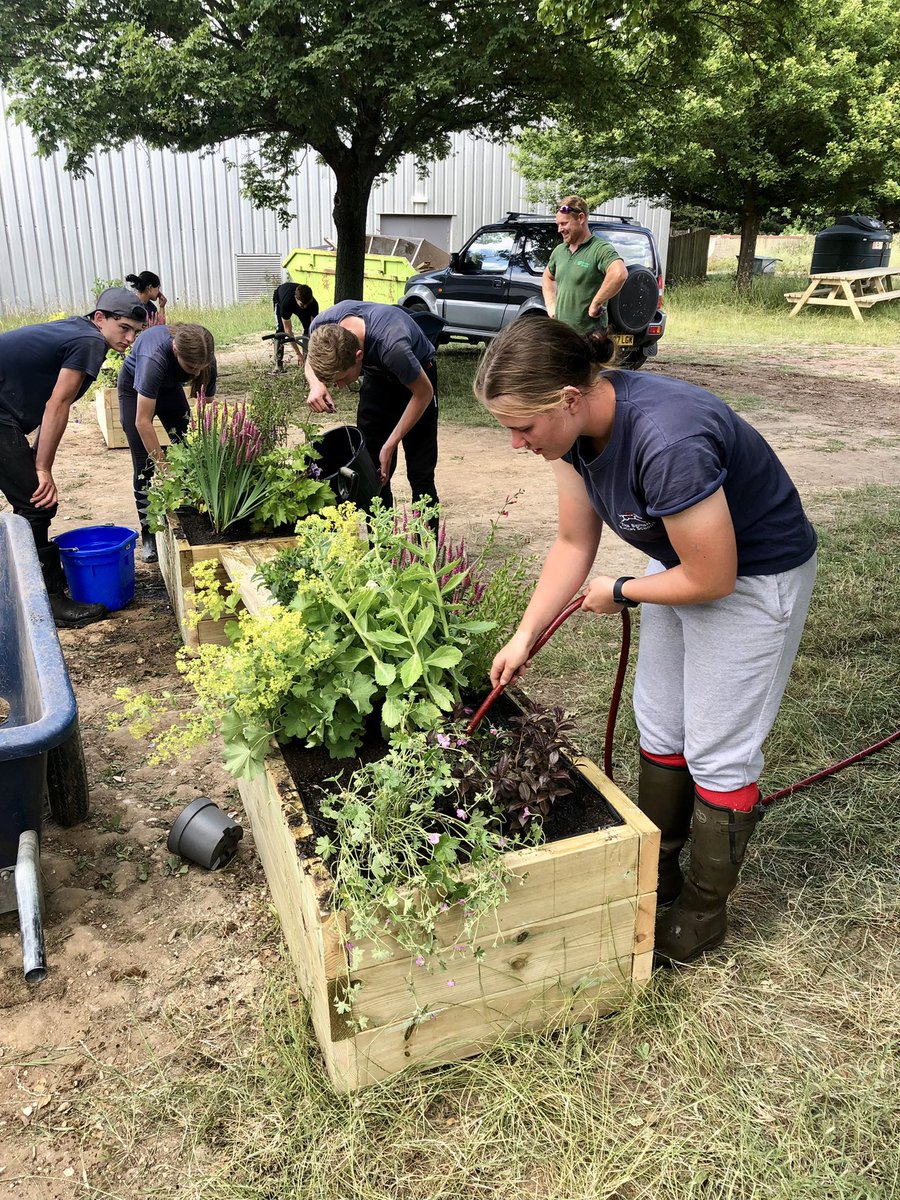 BRSNewmarket's tweet photo. Some of the BRS students getting involved with the development of the @AcademyPony Garden Project with @GreenerG this week 🌱 a great way to promote the wellbeing of students, develop life skills &amp; increase environmental awareness. Great job team 👏🏻 https://t.co/diI2jB0X0t
