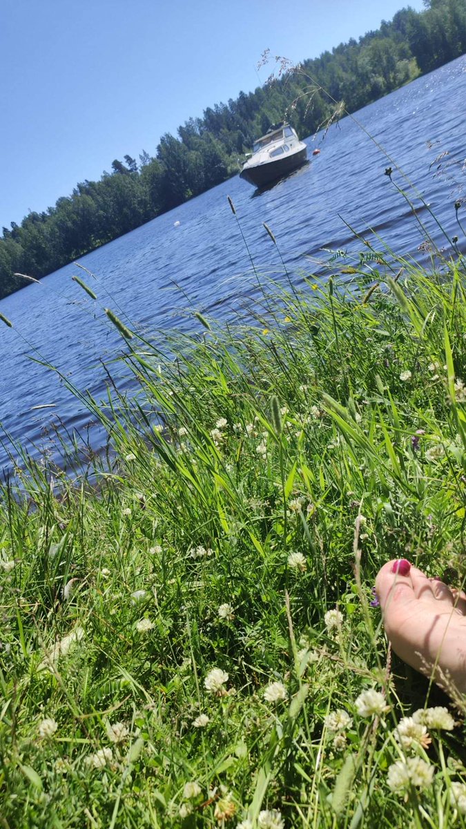 ikonen_henna's tweet photo. Days like this 🌞🌱🌞
#finnishsummer #juhannus #MIDSOMMAR https://t.co/GUI2kvKSbZ