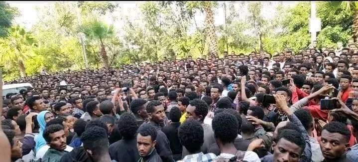 University Students <a href="/UoG/">s</a> are protesting against the Ethiopian govn't through denouncing Amhara Genocide.
#Stop_state_Sponcedrd_genocide against Amhara!
#በቃ
#ቀይአሻራ
#የዜግነትክብር
