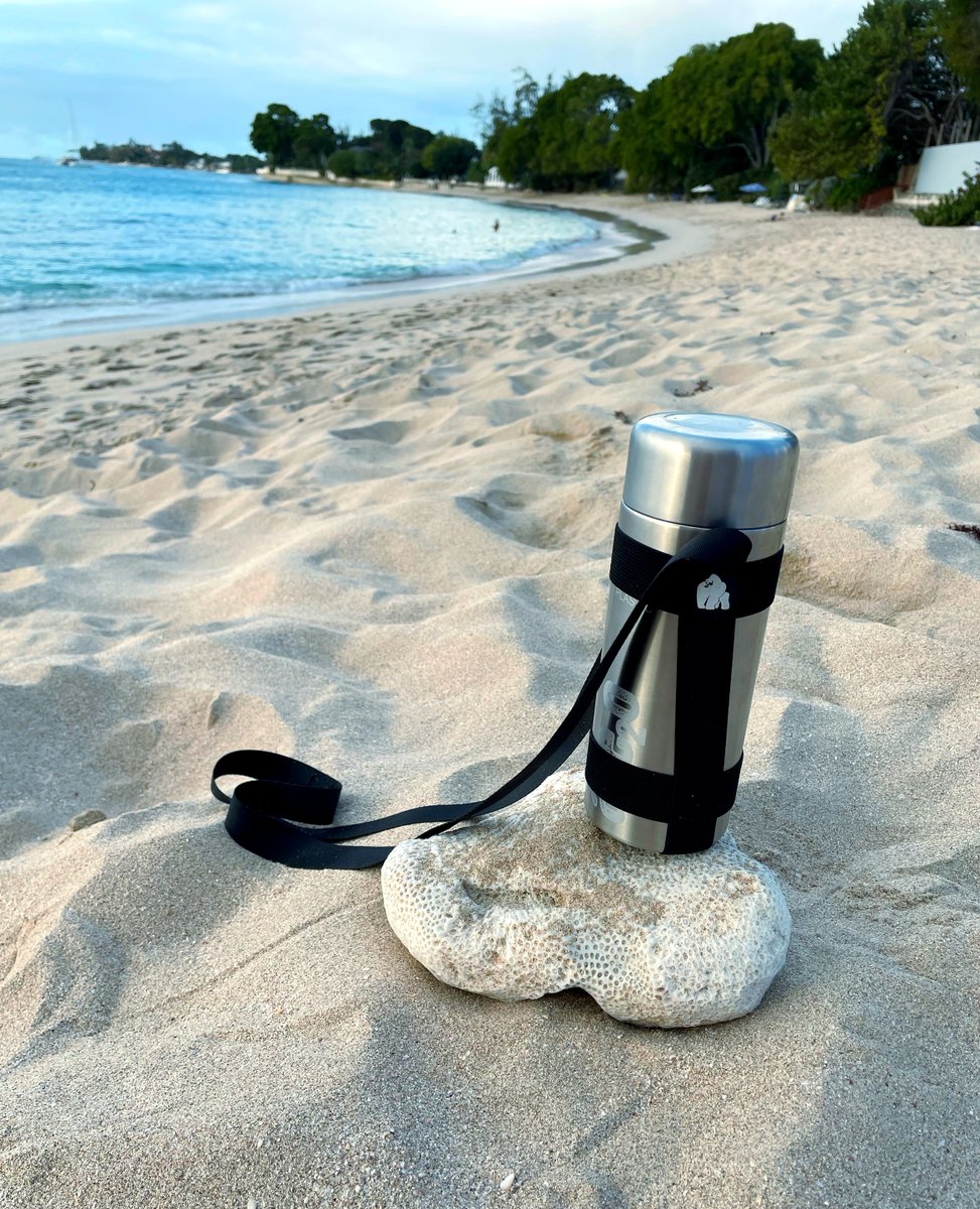 Ape2o's tweet photo. Where are you going this weekend? Take us with you!
Every SilverBack bottle comes with a free bamboo carrying strap, so you're ready for any adventure.
#waterthatgivesback #silverbackbottle #refillablebottle #plasticfree #10%promise #savethedolphins #talktodolphins https://t.co/WkRG1DPpCn