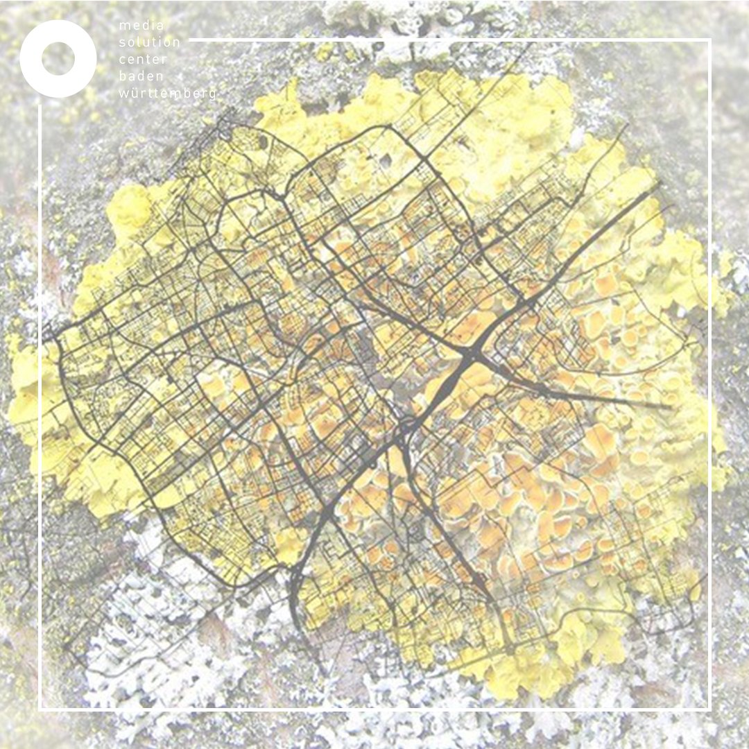 Media Solution Center Baden-Württemberg tweet media