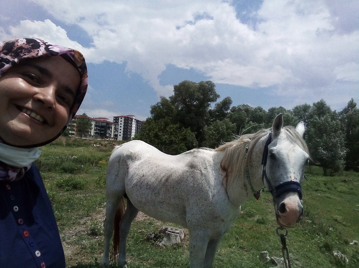 At geldi 🐎prensi bekliyorum 🎈❤️