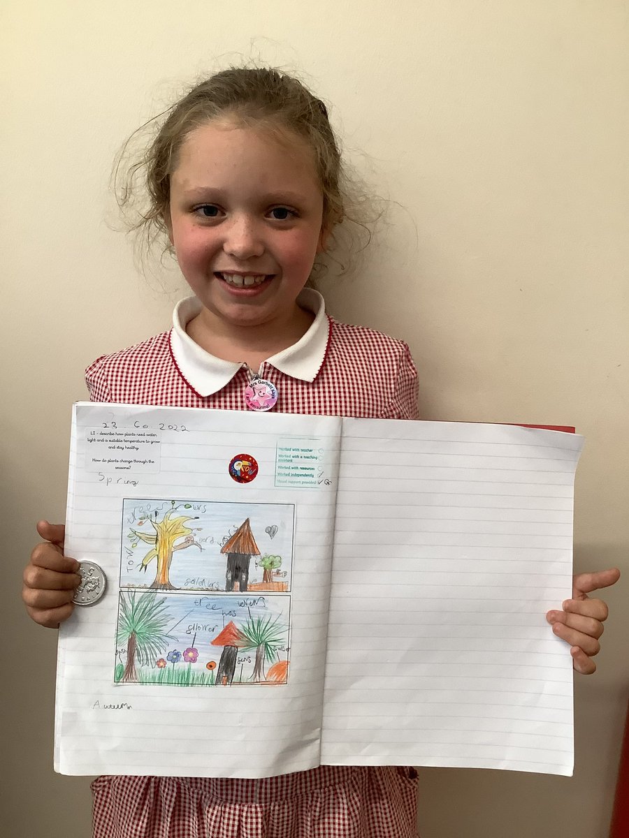 Mrs Ford tweet media