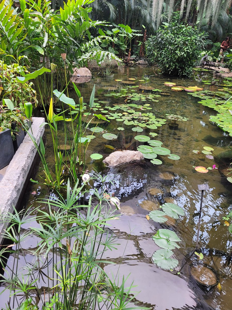 오늘후배랑 드라이브겸 일이있어김포공항근처에 가서 일보고 식물원도 다녀왔네요.두 중년멜돔이 ㅎㅎ
둘다 애기멊이혼자된지가  좀되어네요 ㅎㅎ
둘이 에셤애기하며 애기생기면 다시오자고하면서요 ~~
내애기가 빨리 오기를바라고있네요^^ 40~50대 마조펨섭 환영해요.
라인 hye8960