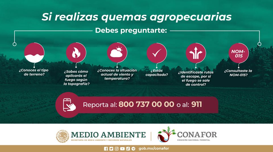 Comisión Forestal tweet media