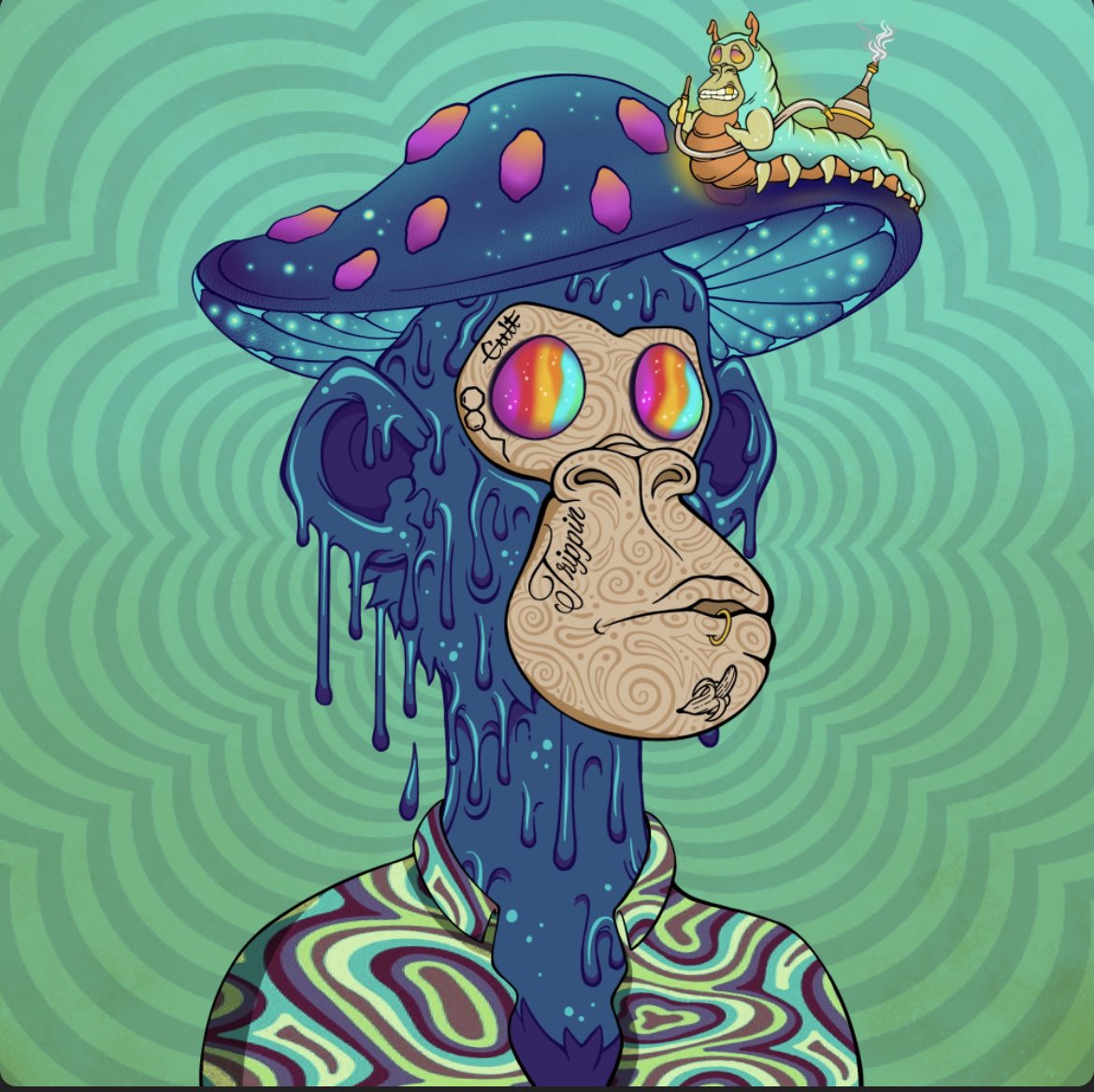 TraderSX tweet media