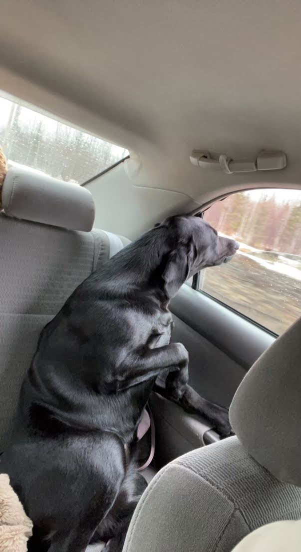 Greg's 3DPrinting and outdoors! tweet media