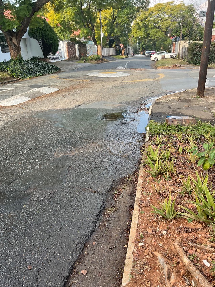 Pieter Jacobs tweet media