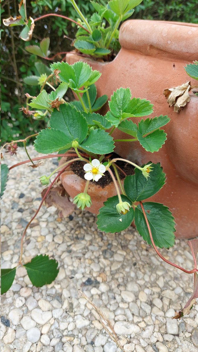 #schoenesgegendoofes