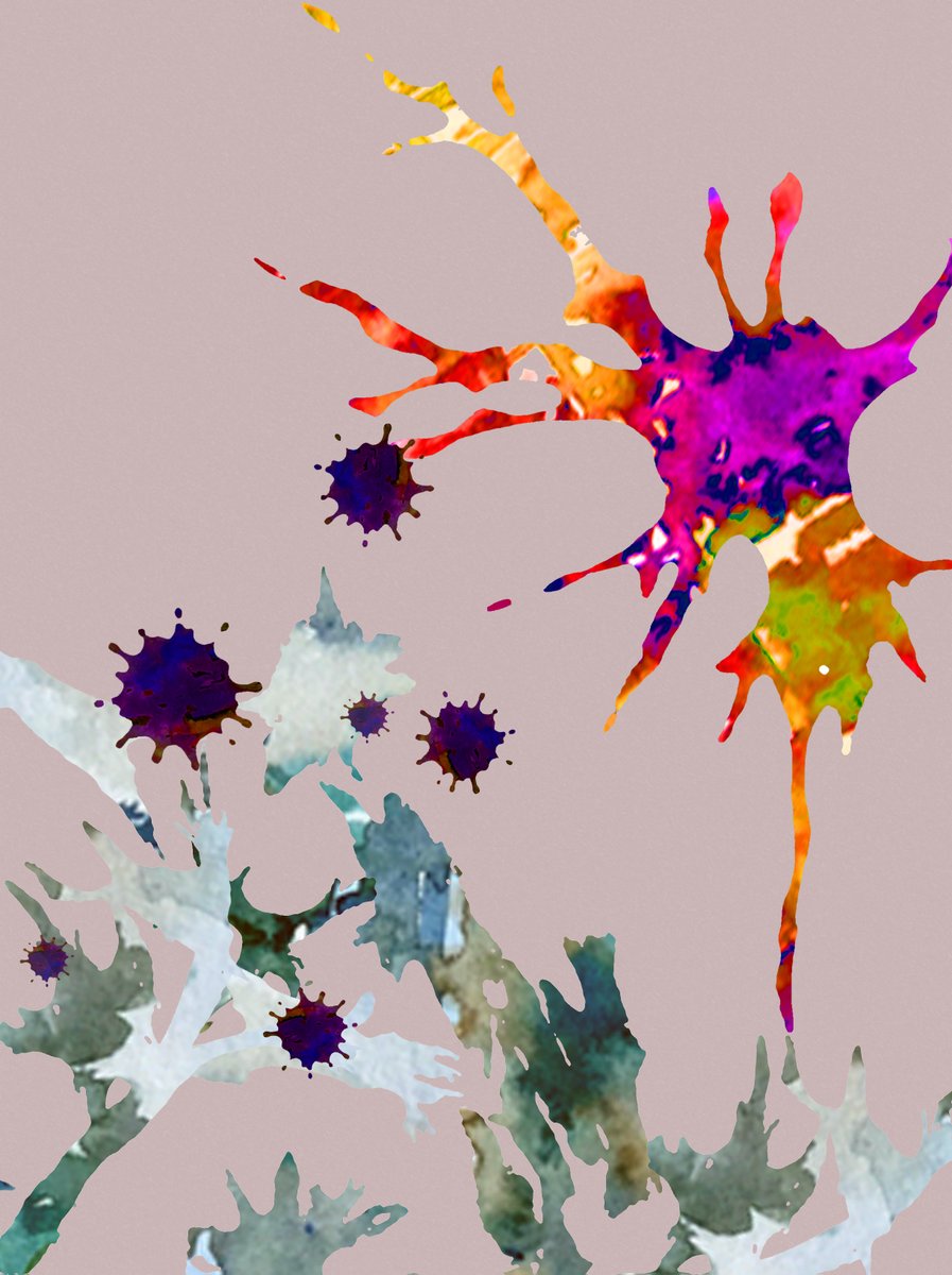 Researchers from the <a href="/AhleniusHenrik/">Henrik Ahlenius</a> lab <a href="/Lund_Stem/">Lund Stem Cell Center</a> &amp; <a href="/lunduniversity/">Lund University</a> reveal a new way to create human #astrocytes in the lab with their study in <a href="/stemcellreports/">StemCellReports</a> 🤯 

Find out how our skin cells might be key to better understanding the human #brain 🧠👇
bit.ly/3ygi4xa