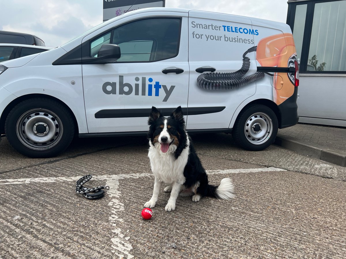 weareability's tweet photo. Great to have Zach with us today for bring your dog to work day #BringYourDogToWorkDay https://t.co/PyM3bB53Am
