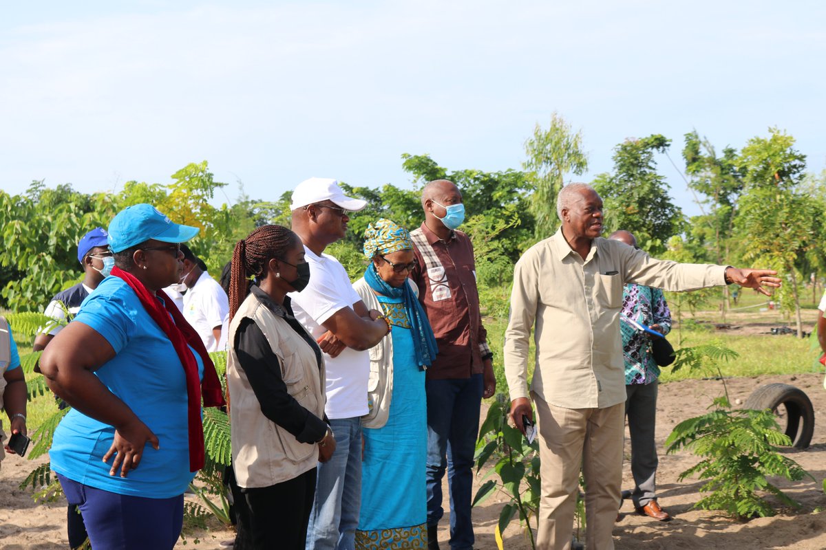 UNHCR_Togo's tweet photo. En collaboration avec la mairie d'Aného, les agences du Système des Nations Unies ont mis en terre une centaine d'arbres dans la préfecture des Lacs. L'objectif est de contribuer à la réalisation des ODD en soutenant le @GouvTg dans le reboisement du pays https://t.co/5KbqmSc1iO