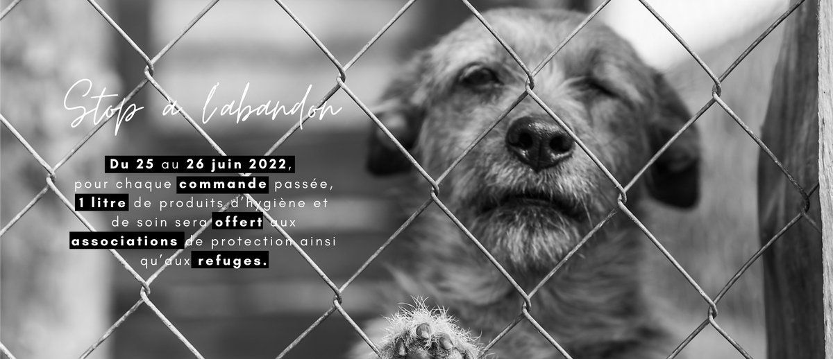 #stopalabandon ! 

Biogance s'engage contre l'abandon des animaux de compagnie. Rendez-vous sur biogance.fr

#journeemondialecontrelabandondesanimaux
#solidarite #bienetreanimal #journéemondialecontrelabandon #stopabandon