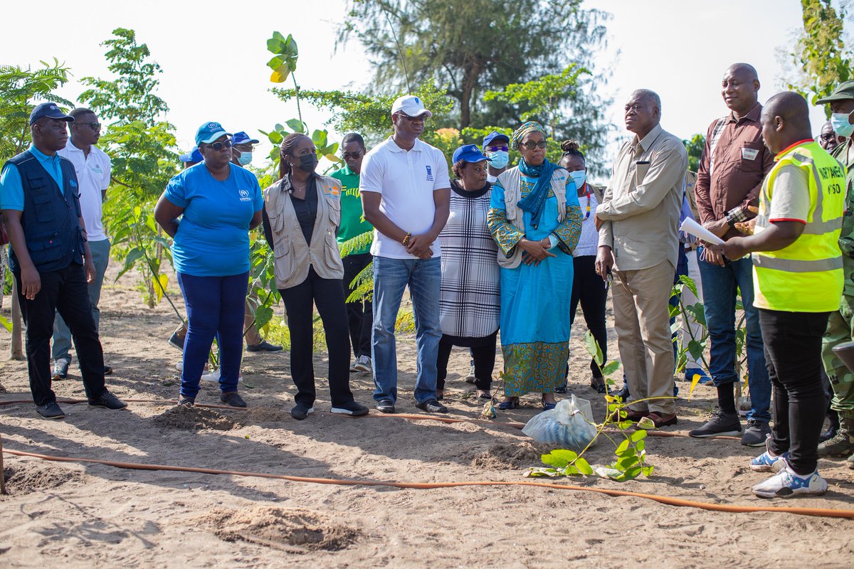 UNHCR_Togo's tweet photo. En collaboration avec la mairie d'Aného, les agences du Système des Nations Unies ont mis en terre une centaine d'arbres dans la préfecture des Lacs. L'objectif est de contribuer à la réalisation des ODD en soutenant le @GouvTg dans le reboisement du pays https://t.co/5KbqmSc1iO