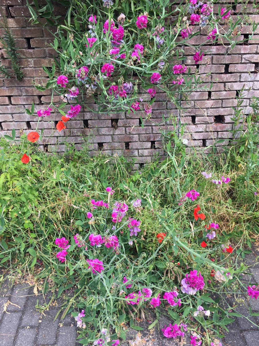 Anja Geerts (@anjageerts) on Twitter photo Bijpraten en lunchen <a href="/GoestingUtrech/">Restaurant Goesting</a> met @tijdvoornu #genieten #Utrecht #vriendschap Bijpraten en lunchen <a href="/GoestingUtrech/">Restaurant Goesting</a> met @tijdvoornu #genieten #Utrecht #vriendschap